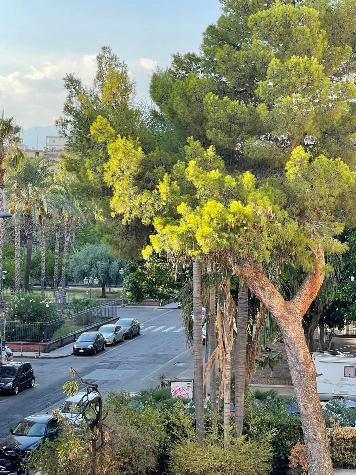 Maison Ruggero Catania Ngoại thất bức ảnh